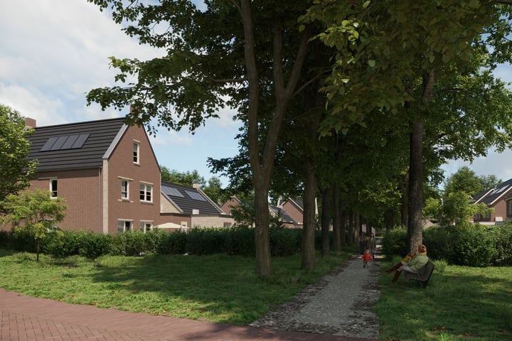 View photo 3 of Bouwnummer 25 Ruwe berk | Tweekapper