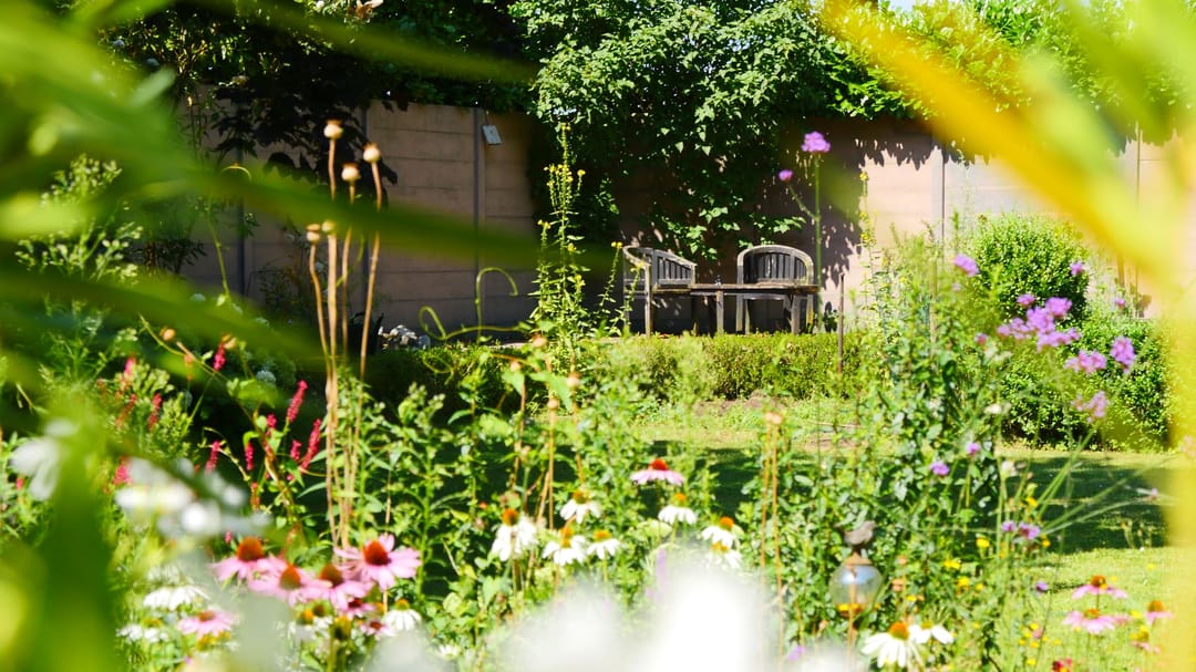 Foto 68 van Dennendijk 35