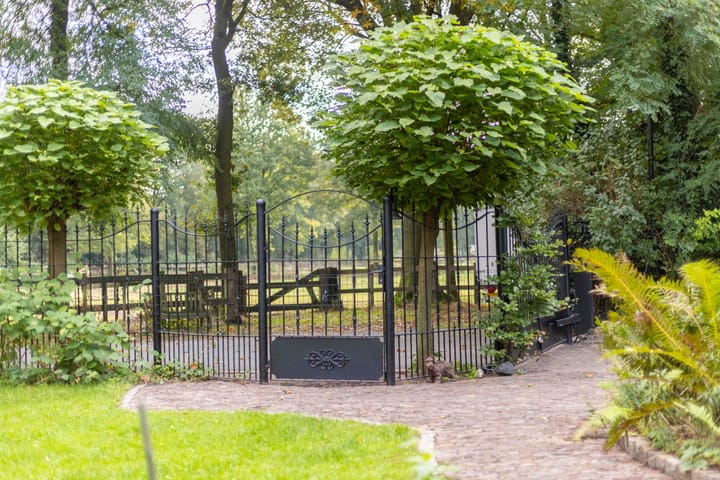 Foto 76 van Dennendijk 35