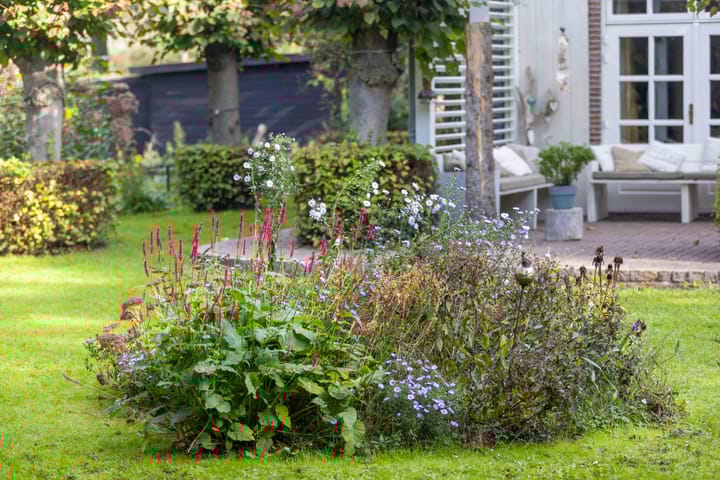 Foto 80 van Dennendijk 35