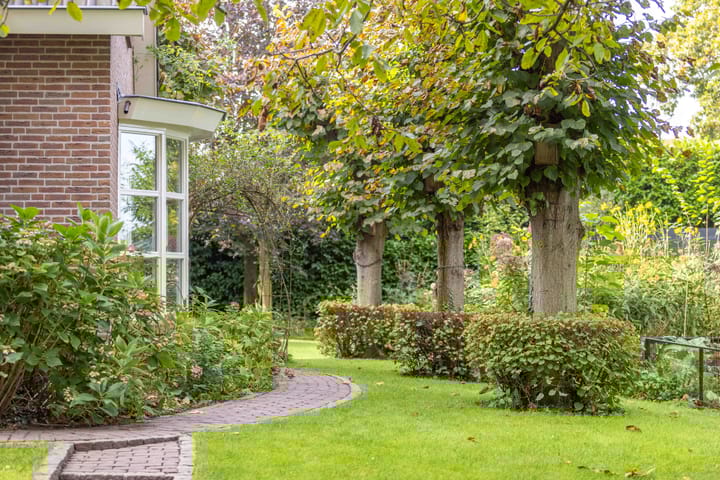 Foto 85 van Dennendijk 35