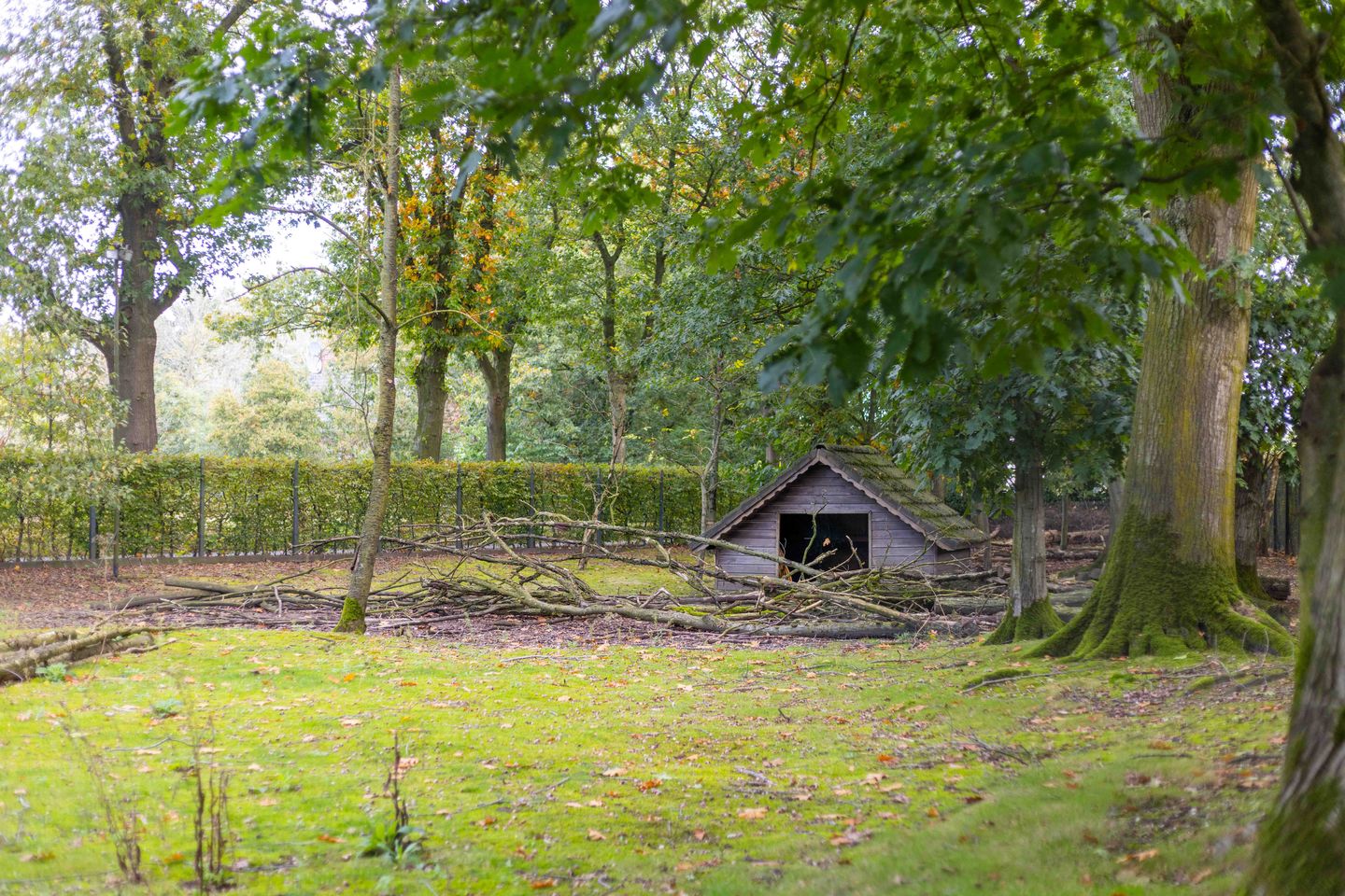 Foto 94 van Dennendijk 35