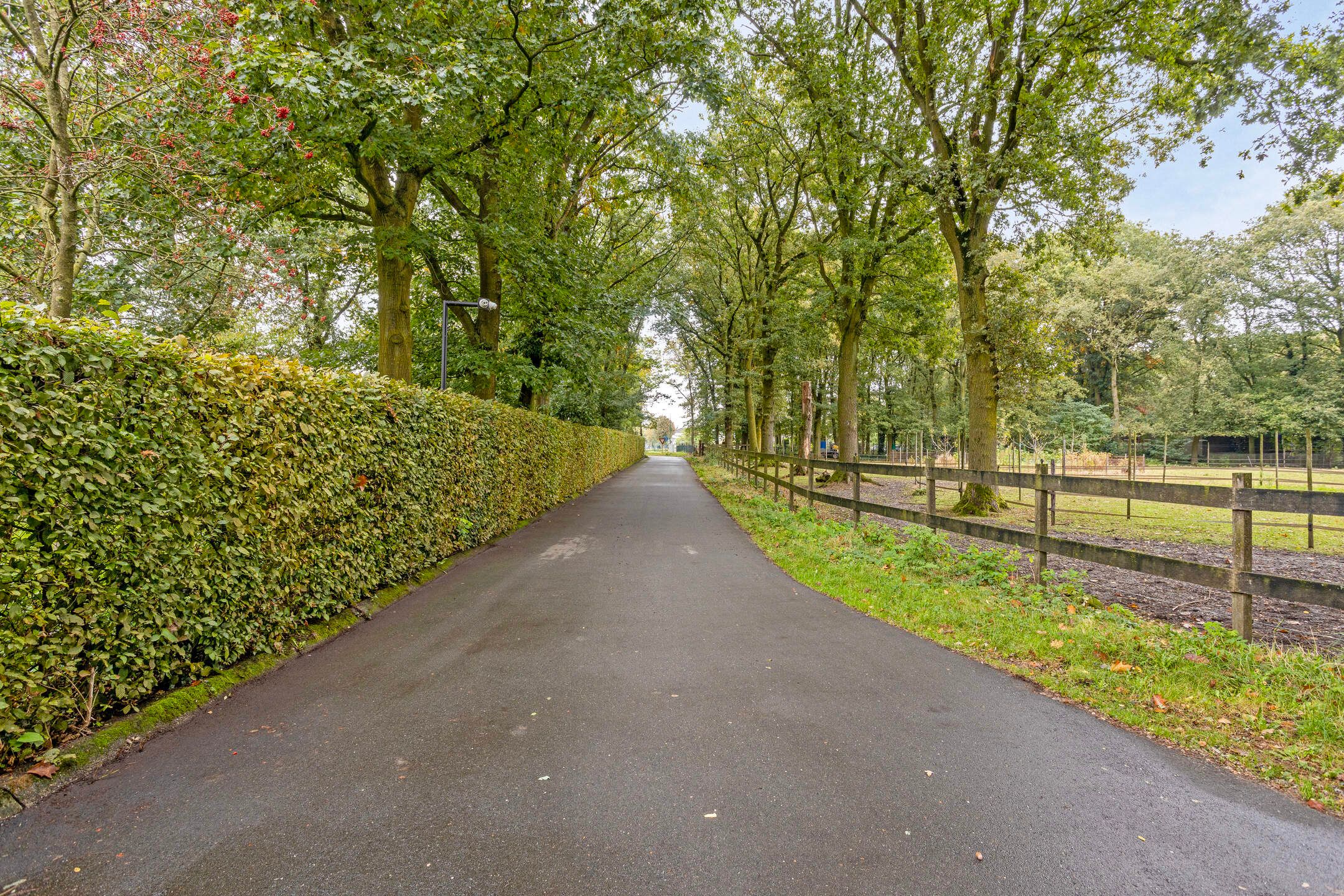 Foto 96 van Dennendijk 35