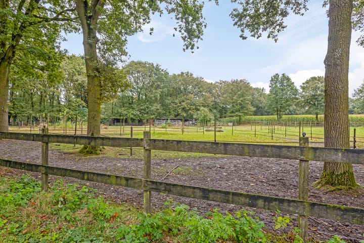 Foto 97 van Dennendijk 35