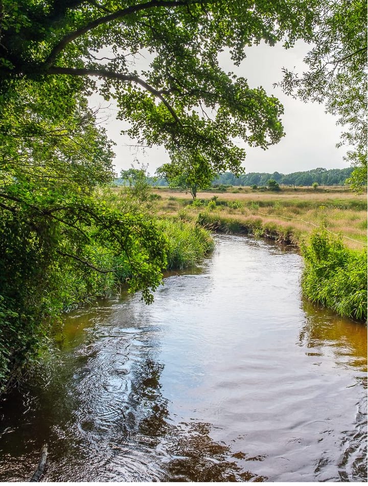 Foto 35 van Armstrongstraat 13