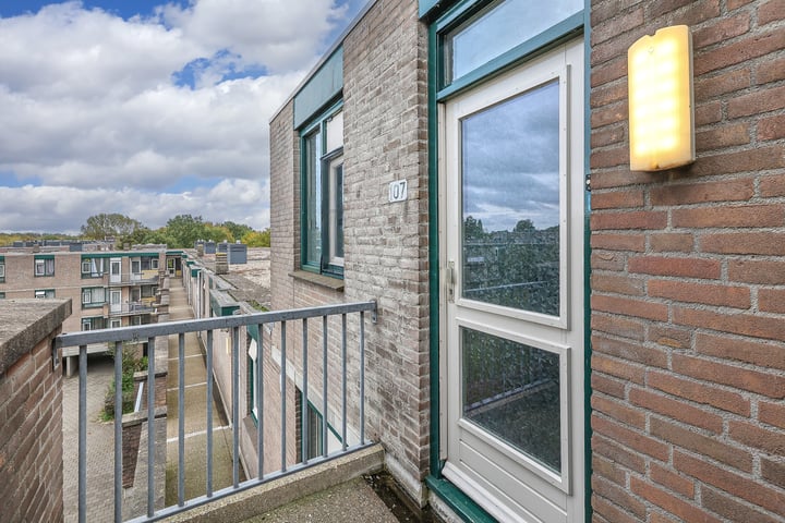 Bekijk foto 18 van Papendrechtstraat 107