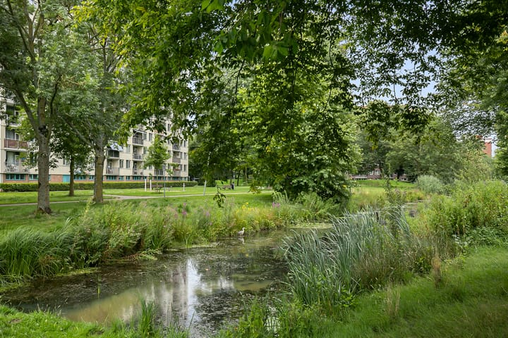 Foto 30 van De Bokkelaren 53