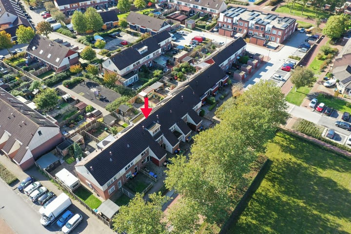 Foto 5 van Punter 17 7