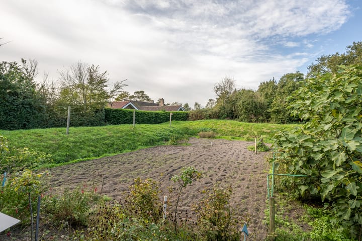 Foto 3 van Dorpsweg 66