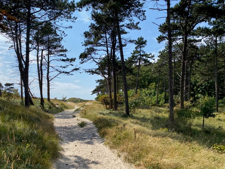 Photo 56 of Kraaijensteinweg 71