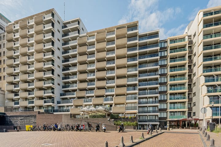 Foto 24 van Duinroos 1