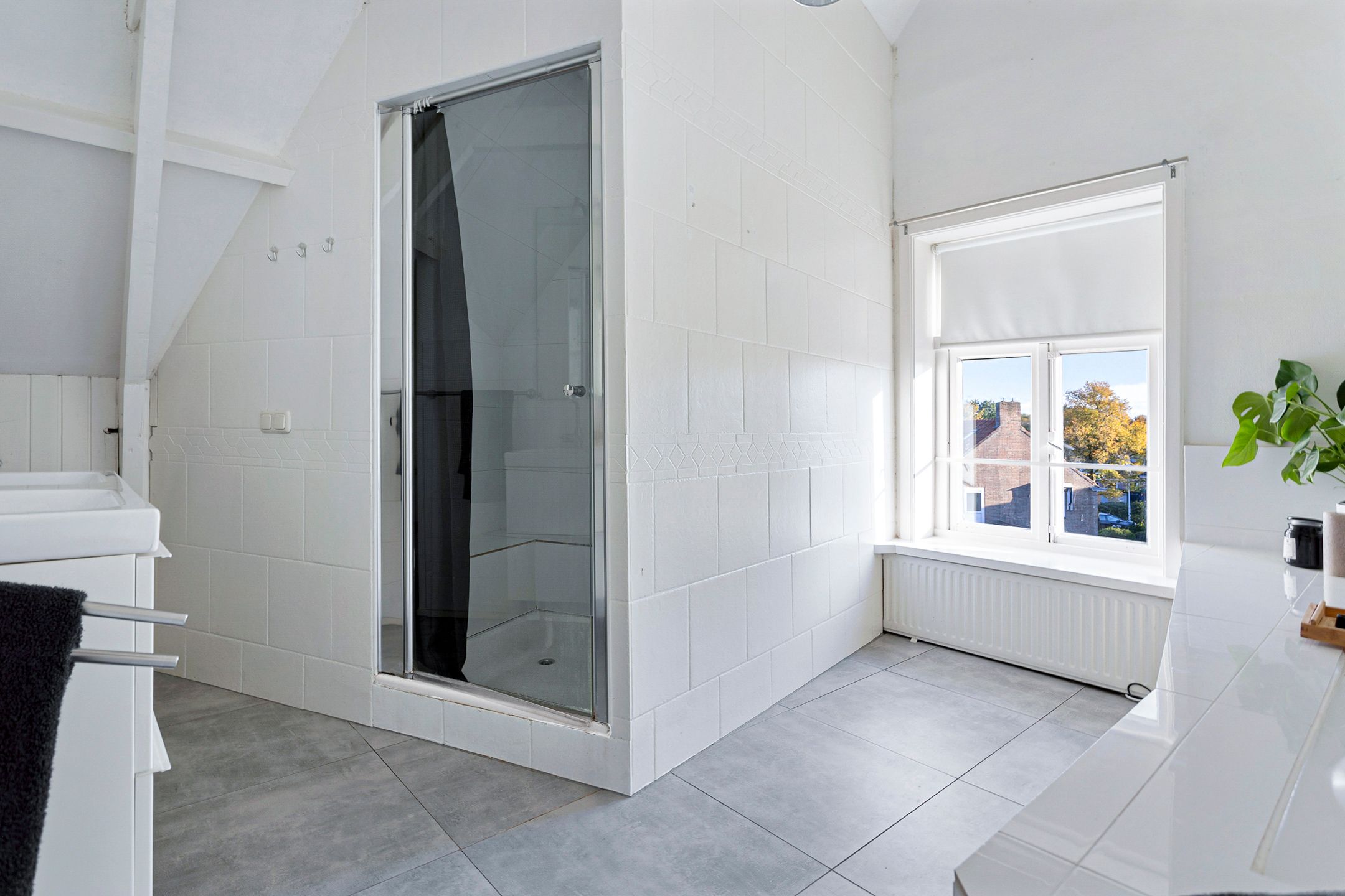 Foto 48 van Bolswarderweg 19