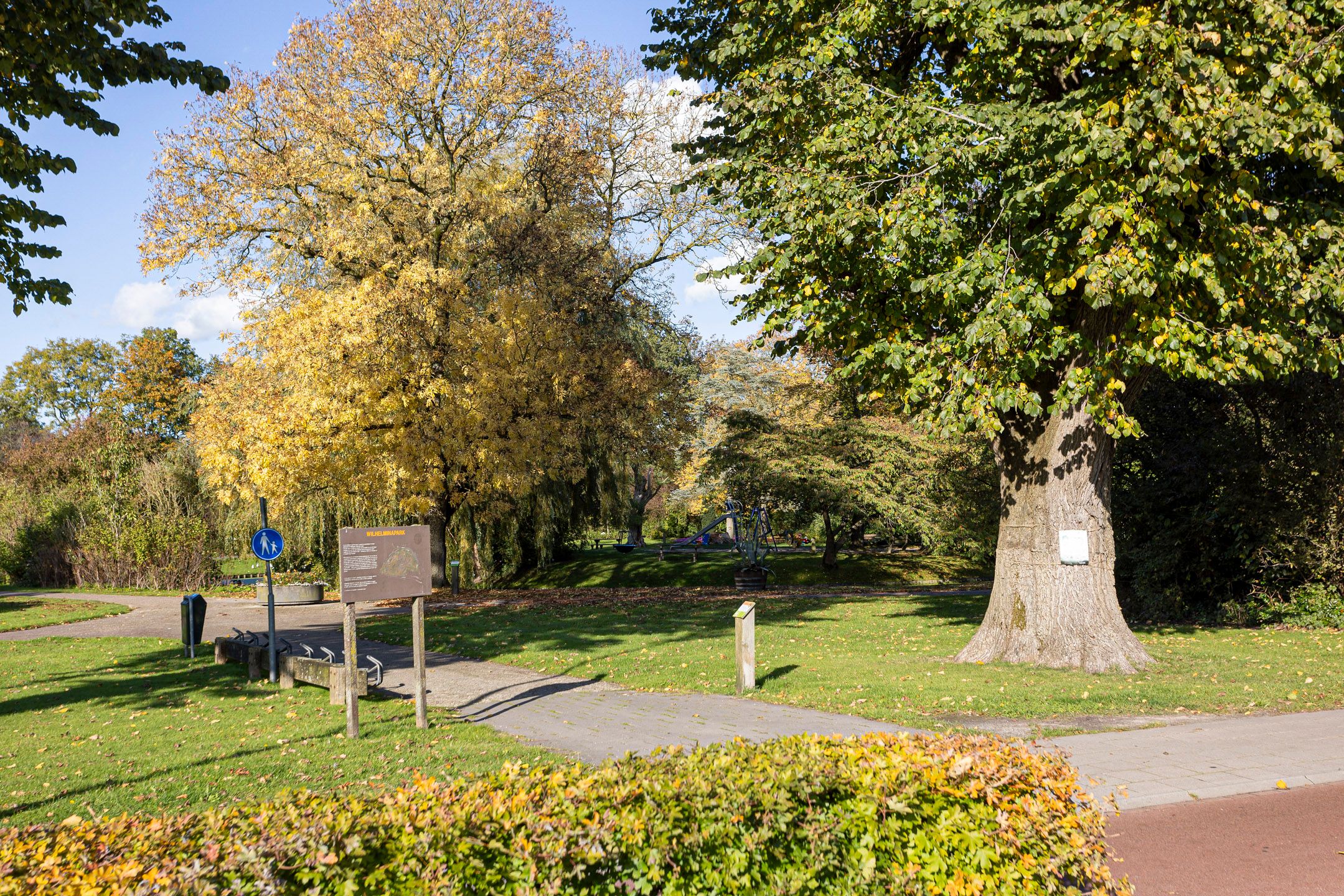 Foto 66 van Bolswarderweg 19