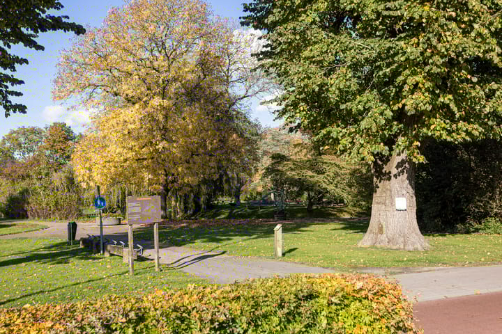 Photo 66 of Bolswarderweg 19