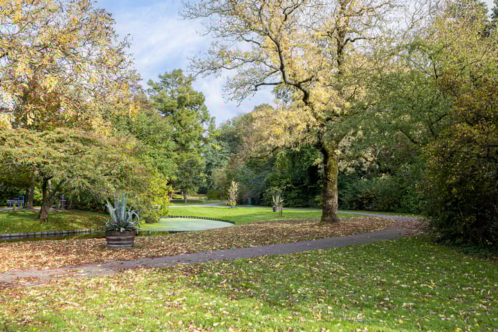 Photo 67 of Bolswarderweg 19