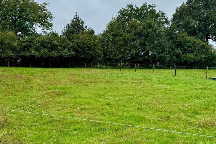 Bekijk foto 3 van Zuiderzeestraatweg (nabij 46)