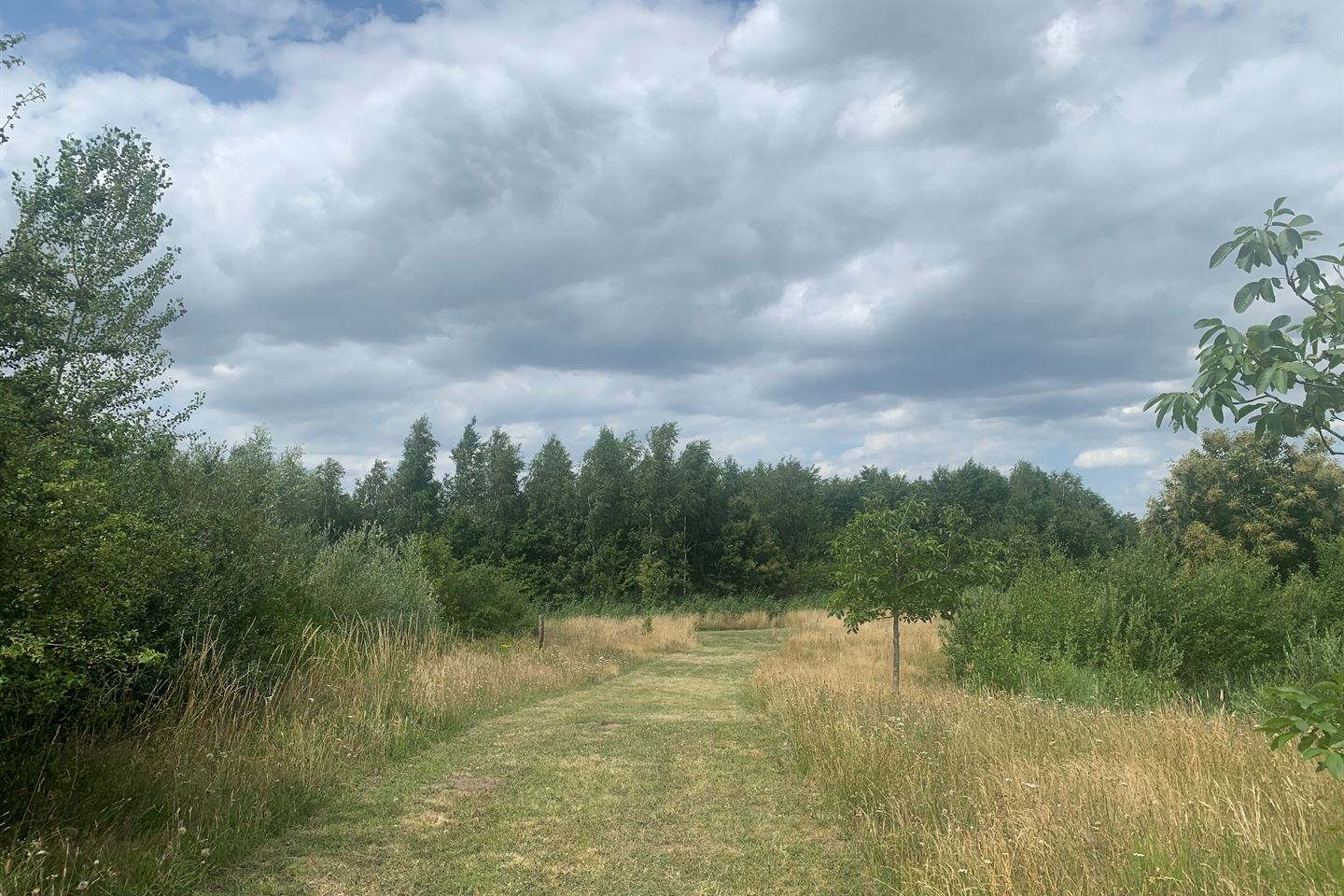 Bekijk foto 3 van Polderweg