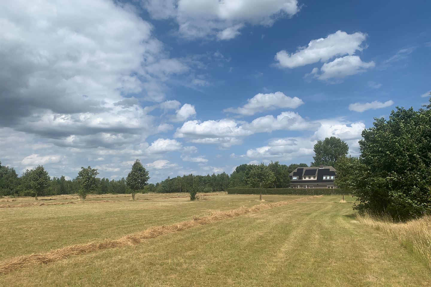 Bekijk foto 4 van Polderweg