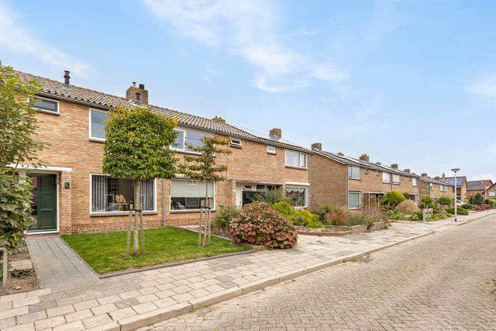 Foto 5 van Waddenstraat 12