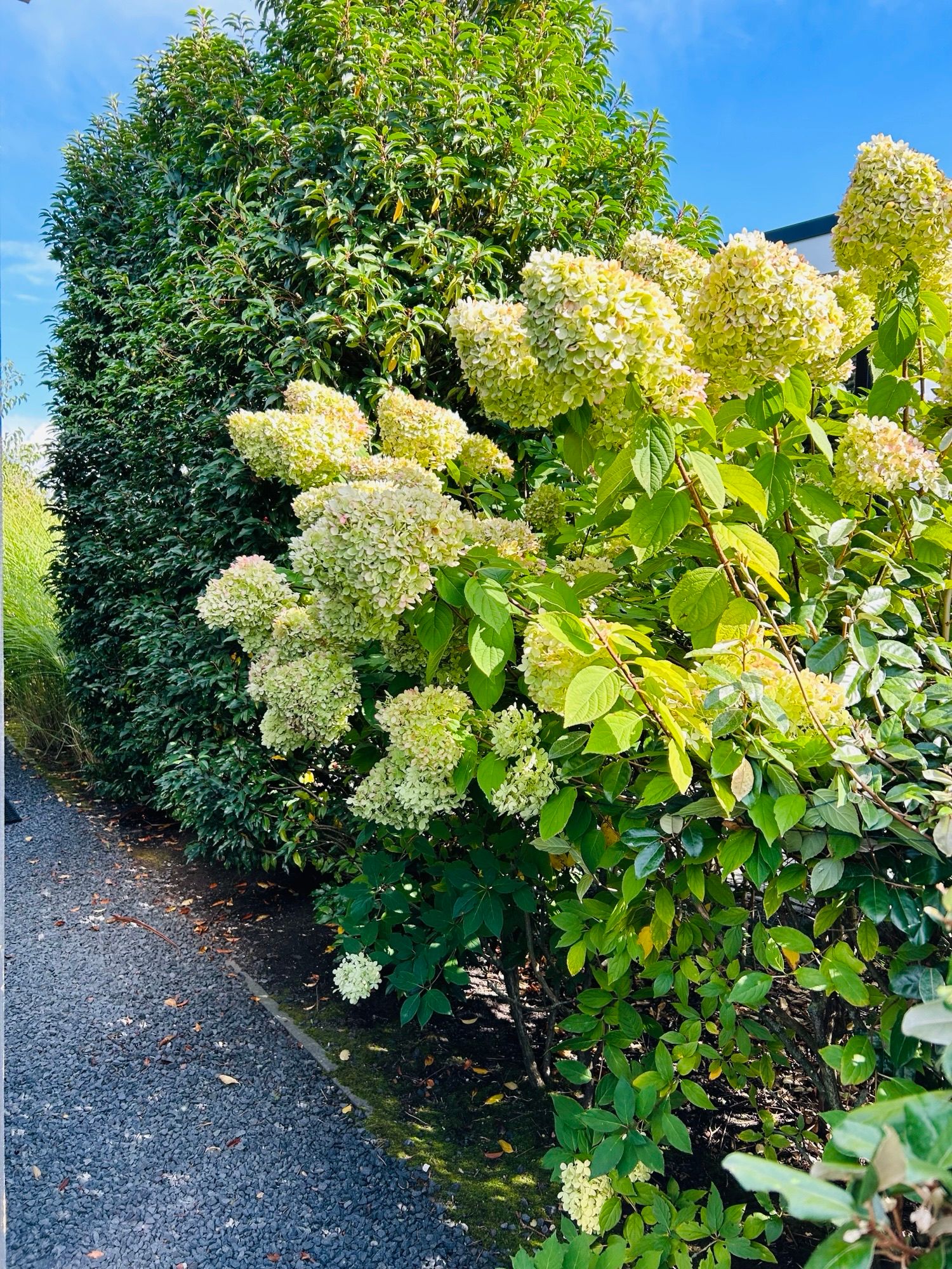 Foto 9 van Hulckesteijn 3 - Sur la Mer 37