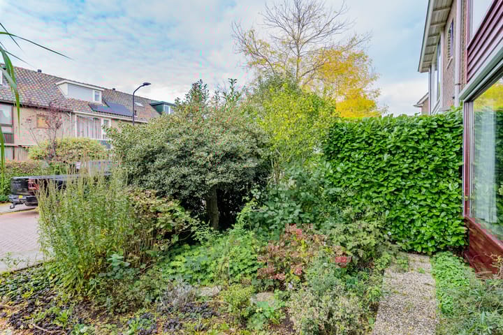 Foto 3 van Holendrecht 9