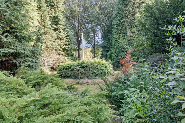 Foto 40 van Bargerweg 49