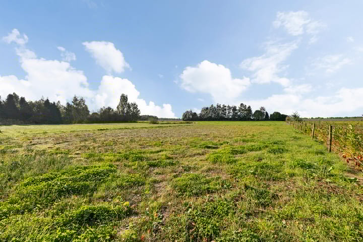 Foto 41 van Bargerweg 49