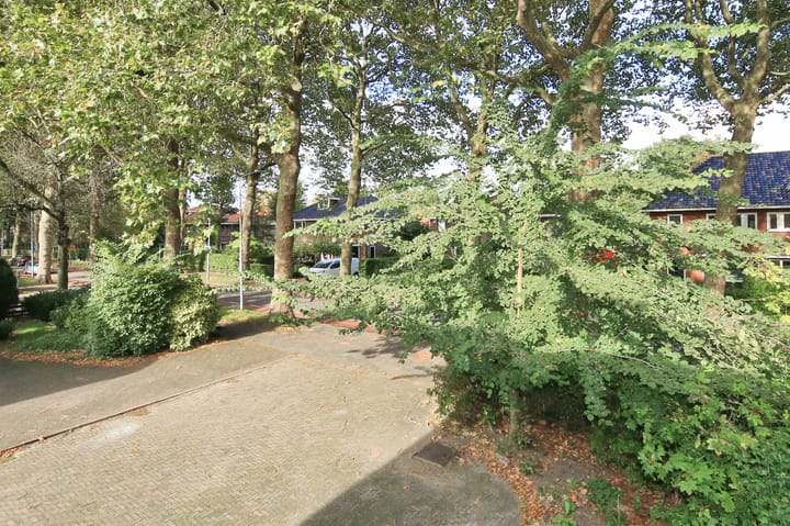 Foto 40 van Burgemeester Amersfoordtlaan 38