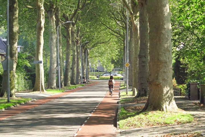 Foto 41 van Burgemeester Amersfoordtlaan 38