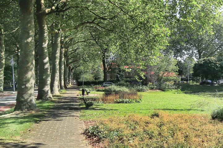 Foto 43 van Burgemeester Amersfoordtlaan 38