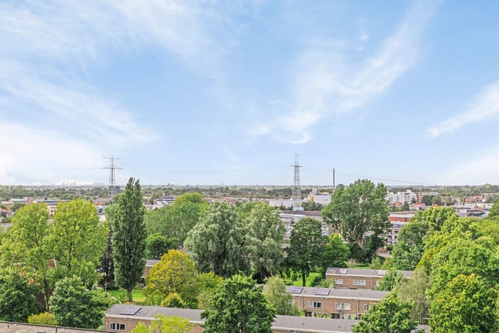 Foto 26 van Koning Davidstraat 119