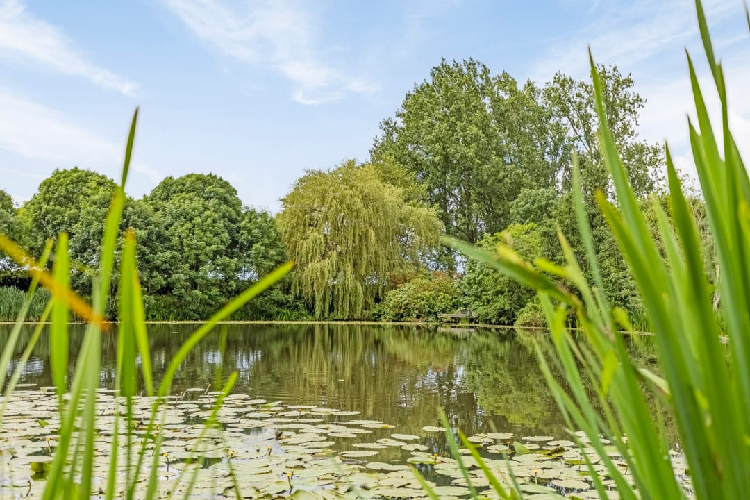 Foto 32 van Elzenhof 43