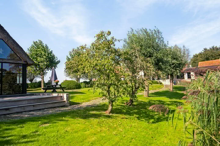 Foto 51 van Cathalijne Schans 52