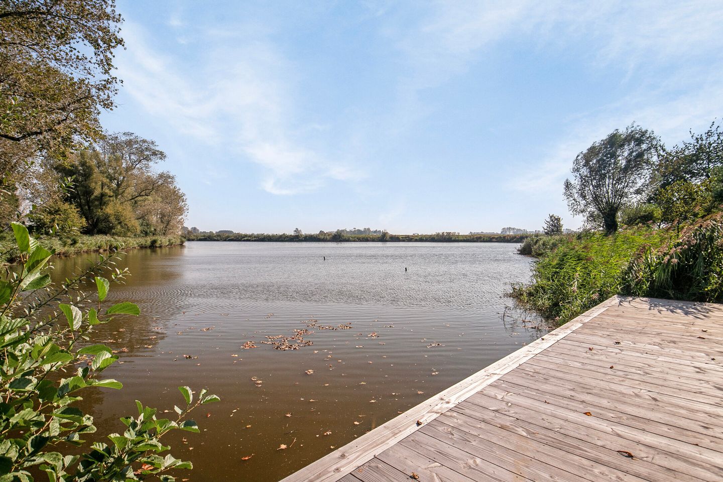 Foto 64 van Cathalijne Schans 52