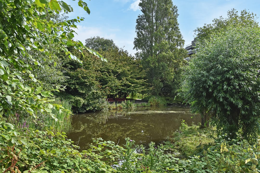 Foto 28 van Cornelis de Wittlaan 94