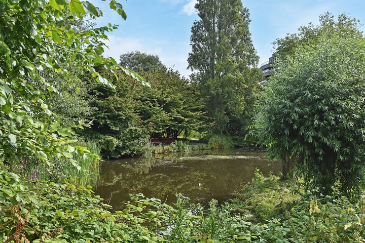 Photo 28 of Cornelis de Wittlaan 94