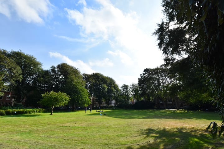 Photo 33 of Cornelis de Wittlaan 94