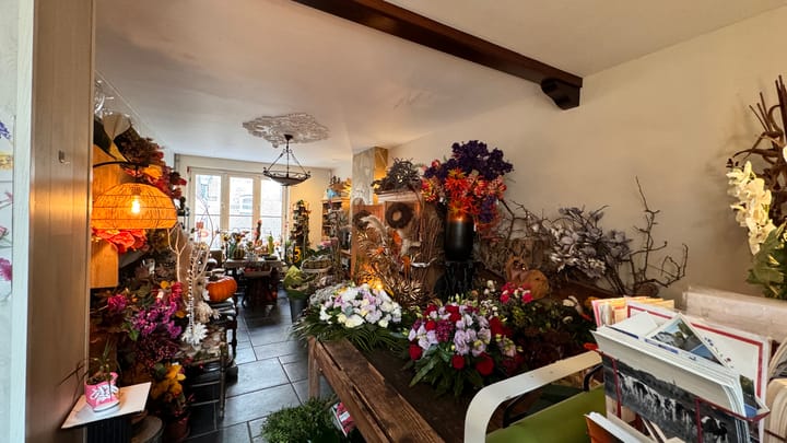 Foto 8 van Wilhelminastraat 9