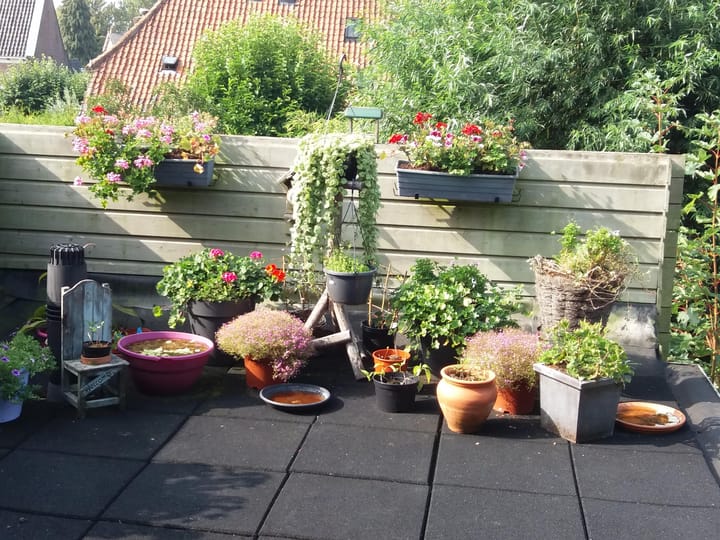 Foto 25 van Wilhelminastraat 9