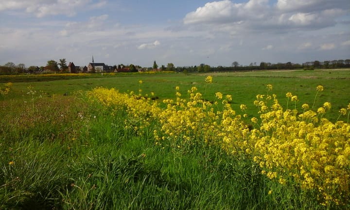 Foto 33 van Wilhelminastraat 9