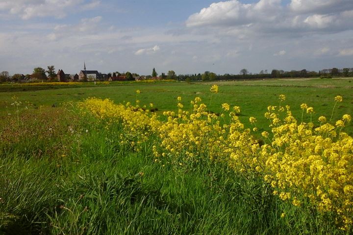 Bekijk foto 33 van Wilhelminastraat 9