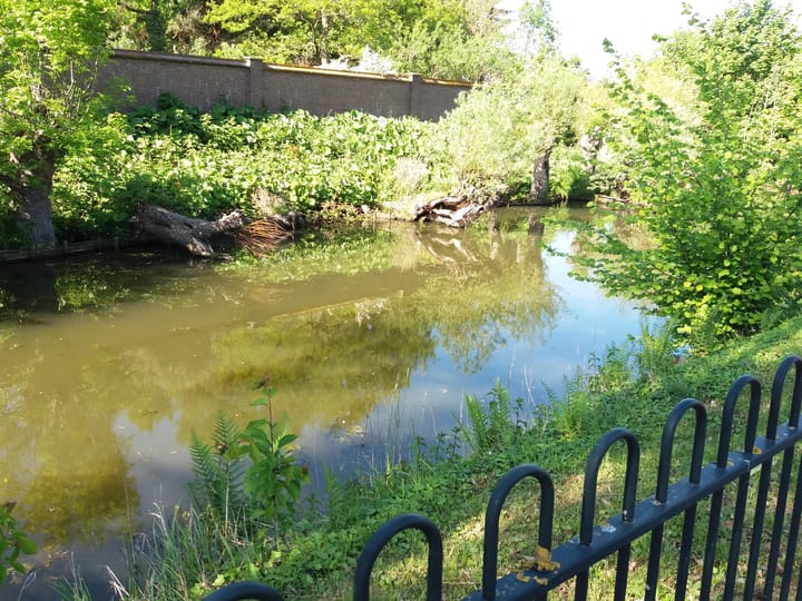 Foto 34 van Wilhelminastraat 9