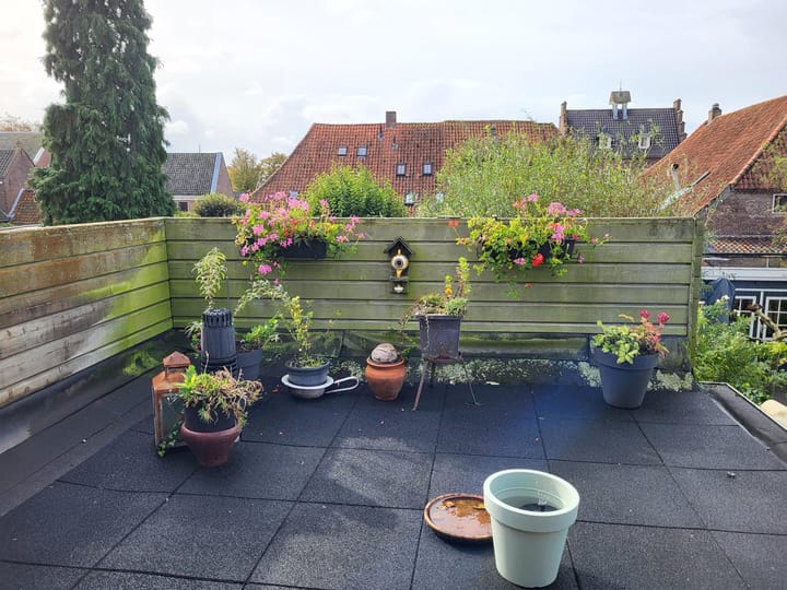 Foto 22 van Wilhelminastraat 9