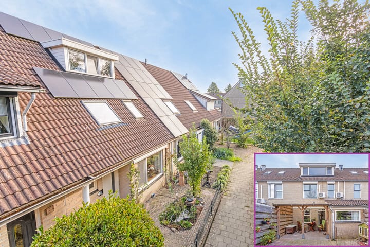 Foto 39 van Zenegroen 8