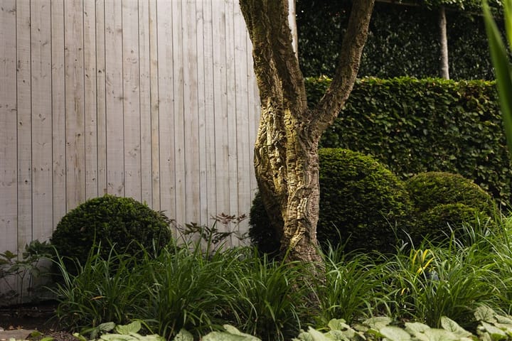 Foto 33 van Waltersingel 100