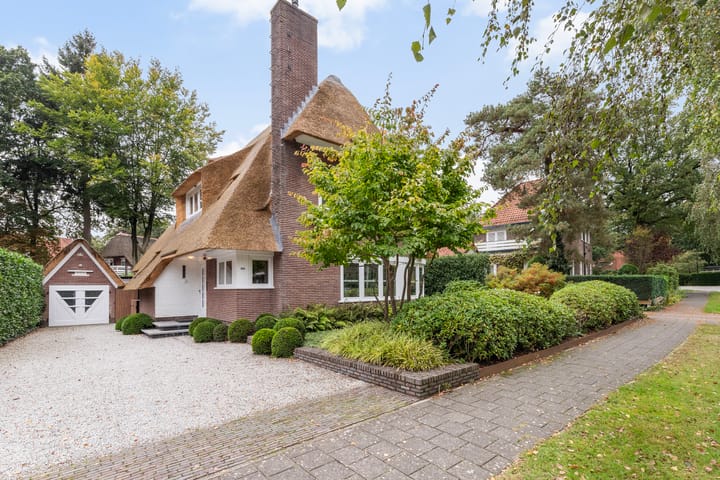 Foto 45 van Waltersingel 100