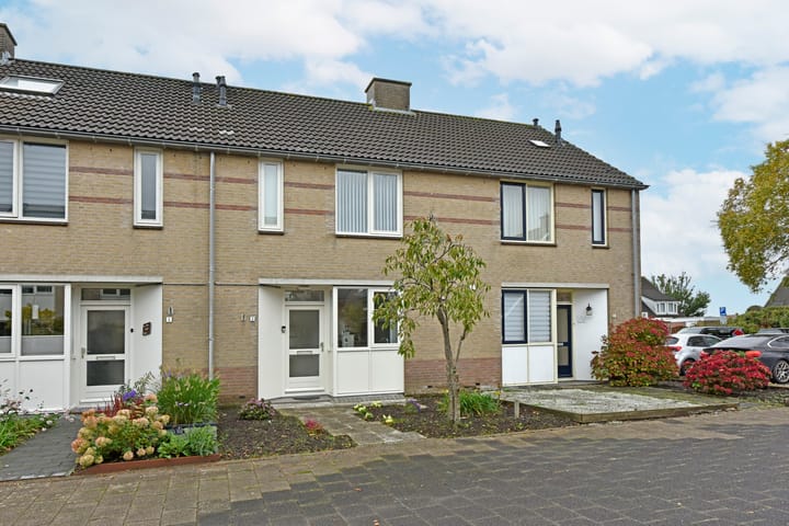 undefined main image