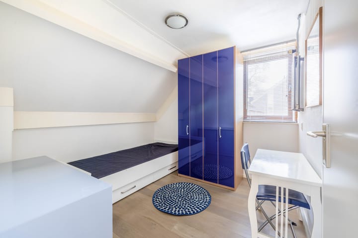 Foto 18 van Rosmolen 146