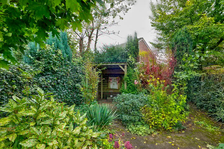 Foto 40 van Westerwoldestraat 10