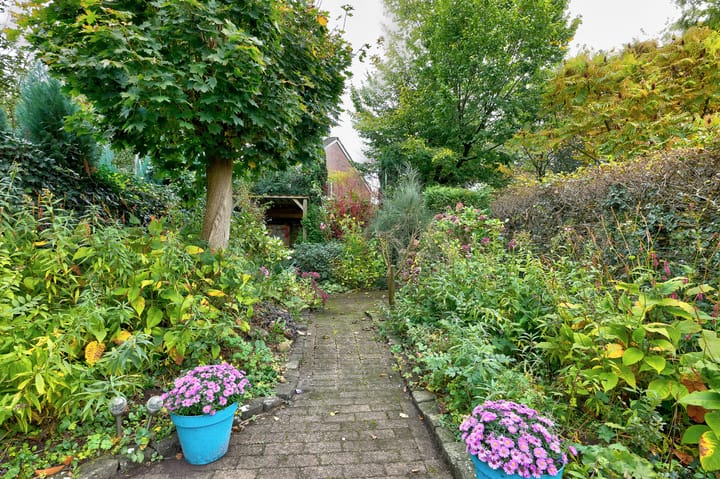 Foto 39 van Westerwoldestraat 10